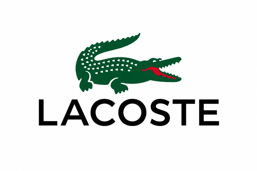 Weißes Standbild mit dem grünen Krokodil-Logo, das als Startframe für Google Flow hochgeladen wird