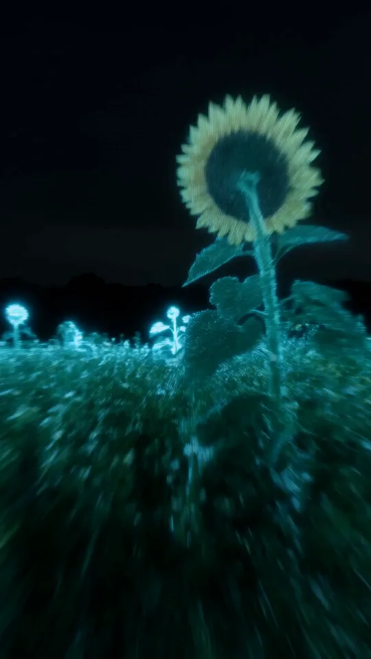 Dieselbe Sonnenblume, diesmal halb im türkisen Scan und halb in ihrem echten Gelb, während die Kamera an ihr vorbeizieht